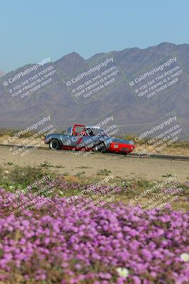 media/Jan-29-2023-PCA San Diego (Sun) [[aa0301ccc2]]/Yellow Group/Session 1 (Turn 15 Bloom)/